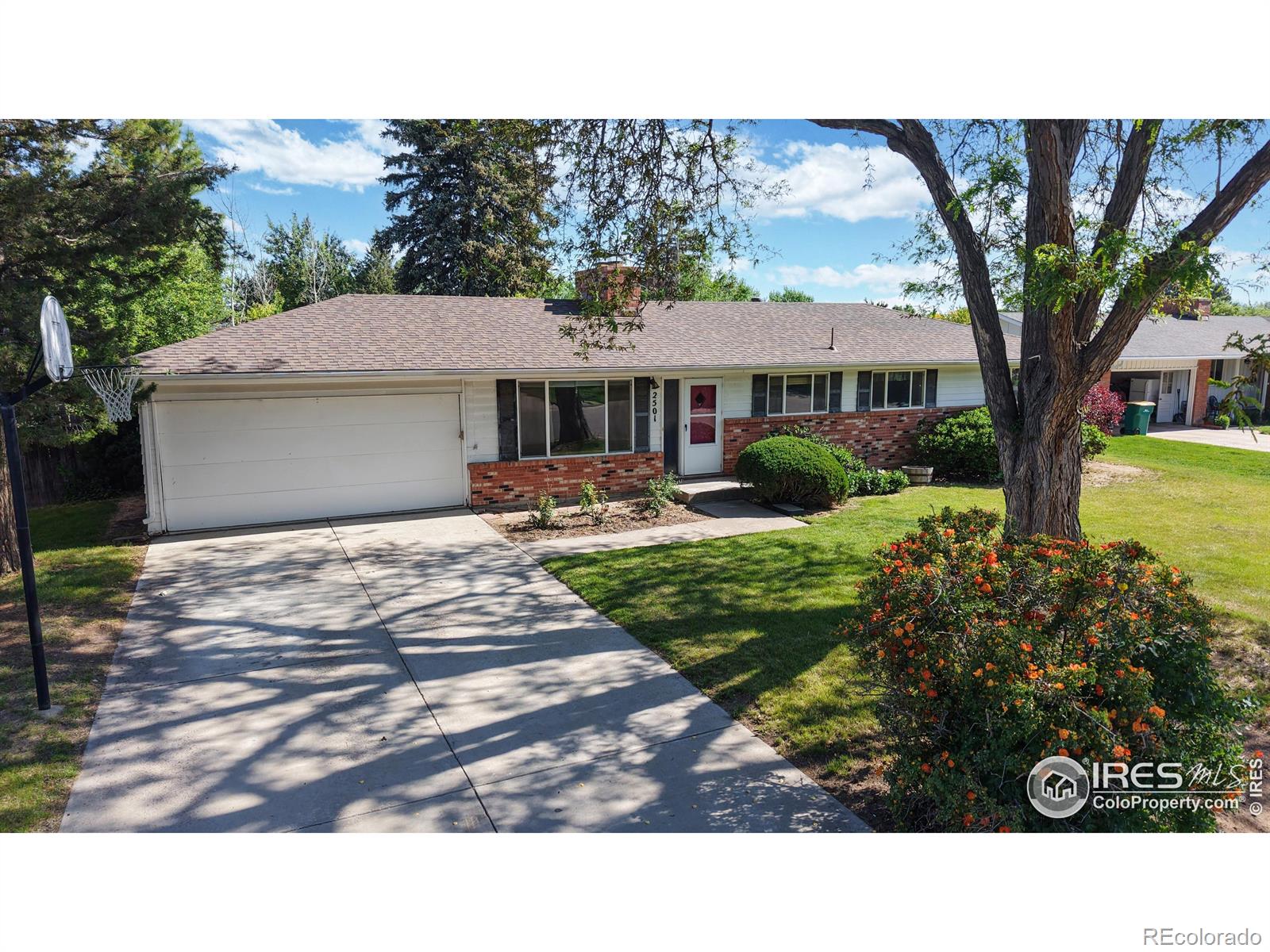 greeley  House Search Picture