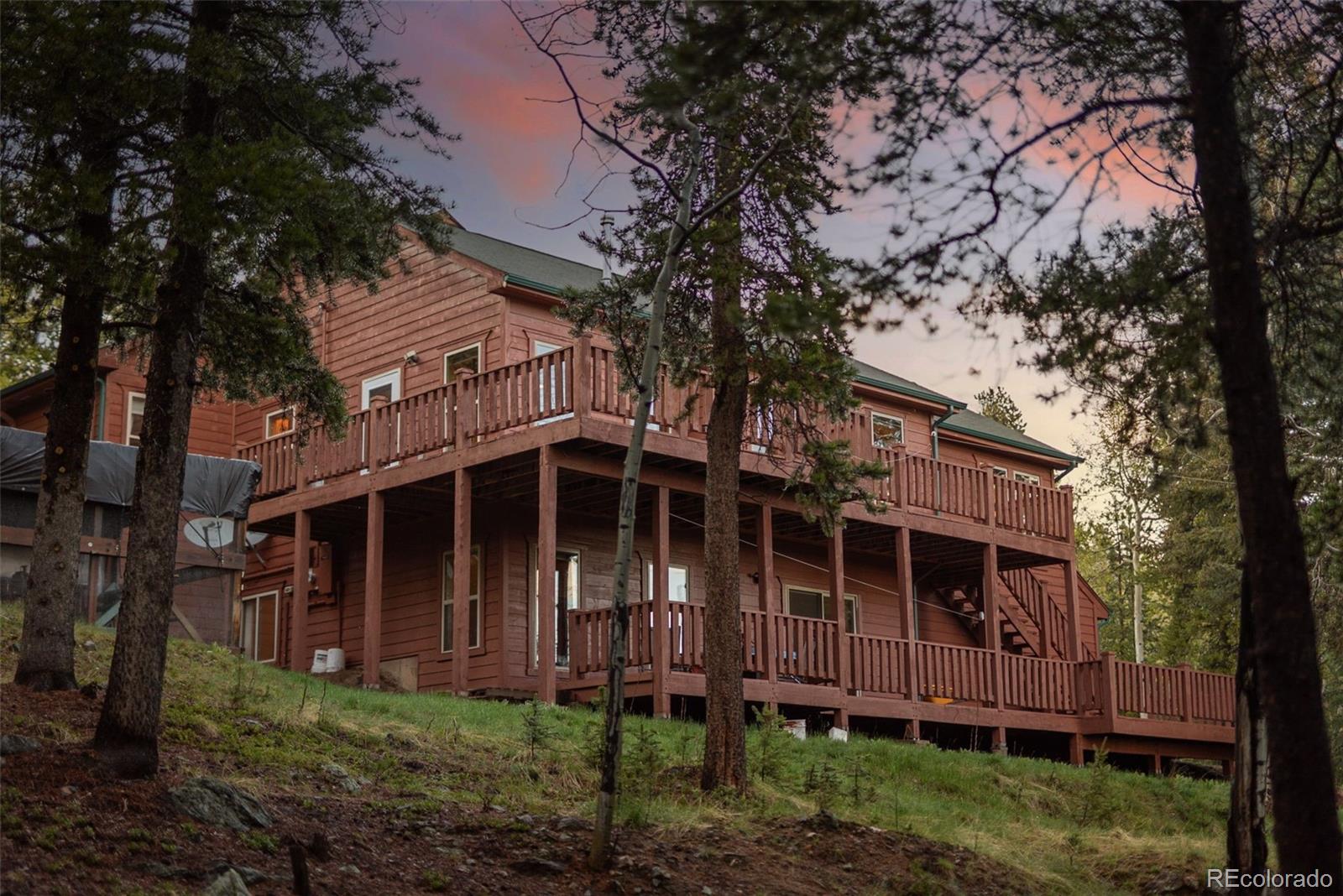 conifer  House Search Picture