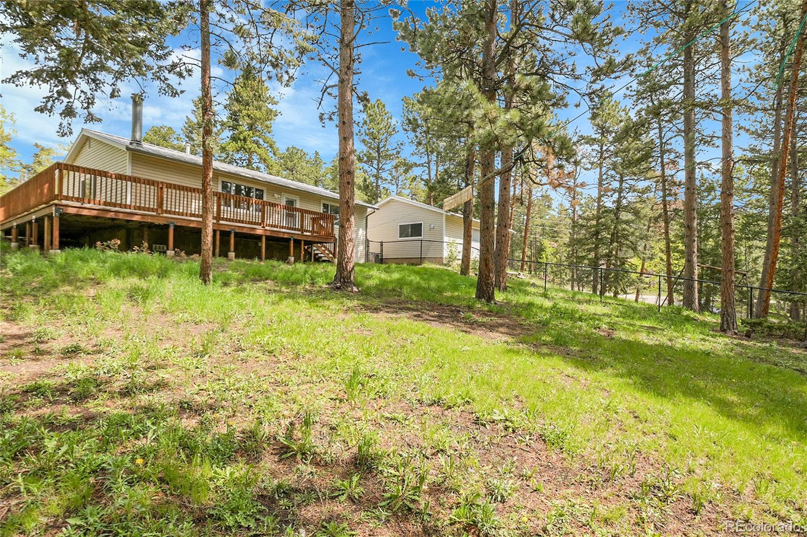 conifer  House Search Picture