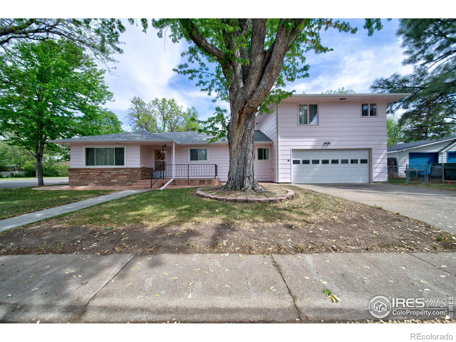 brush  House Search Picture