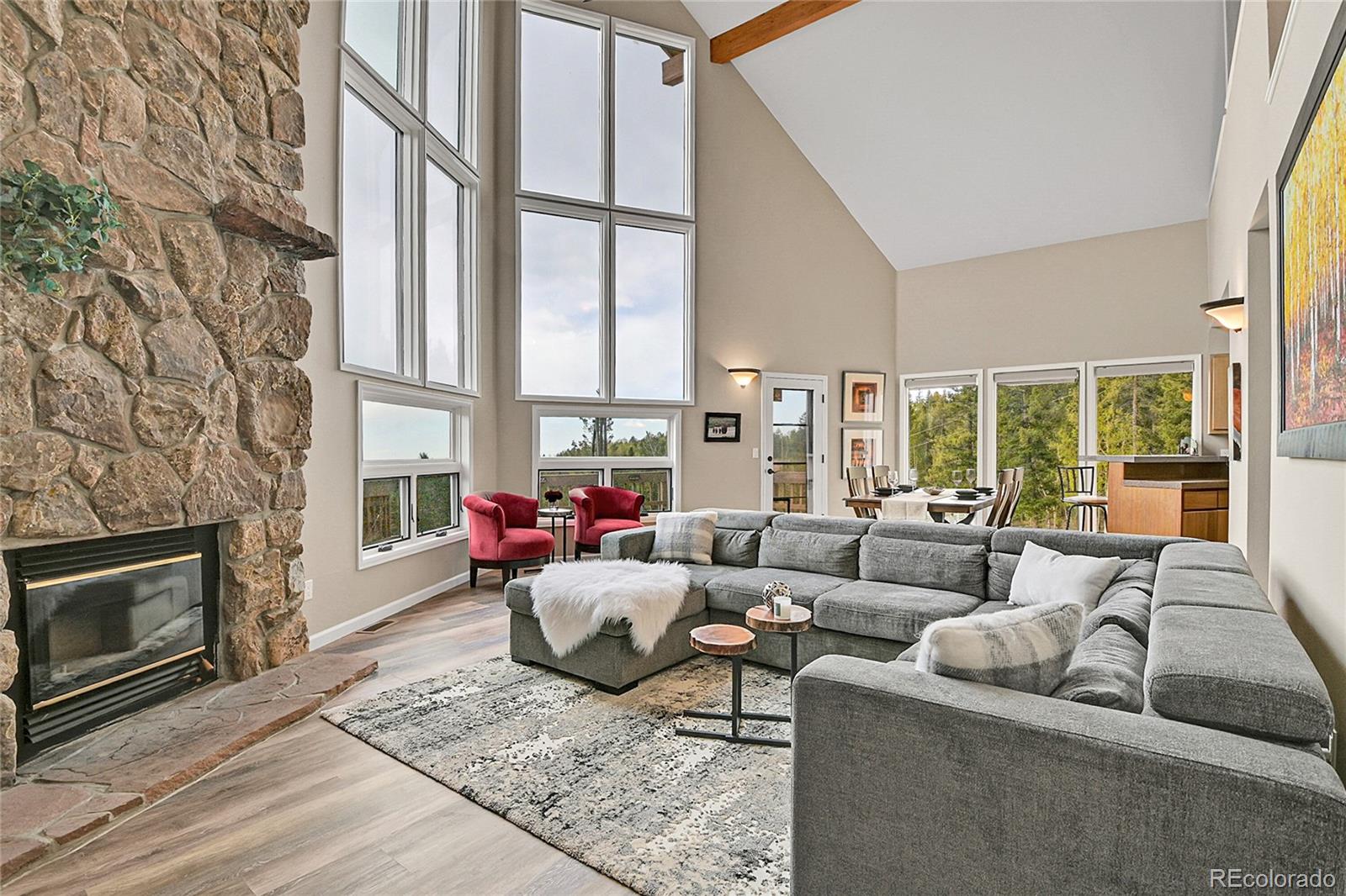 conifer  House Search Picture