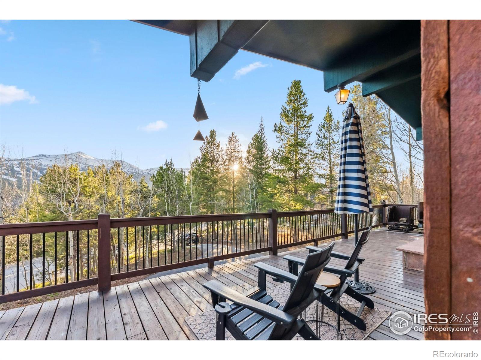 216 N Gold Flake , breckenridge  House Search MLS Picture