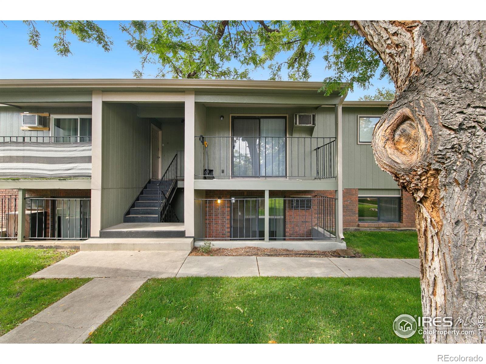 419 S Impala Drive, fort collins  House Search MLS Picture