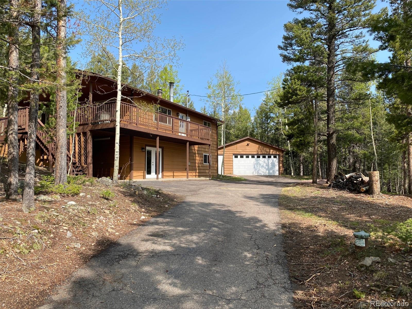 conifer  House Search Picture