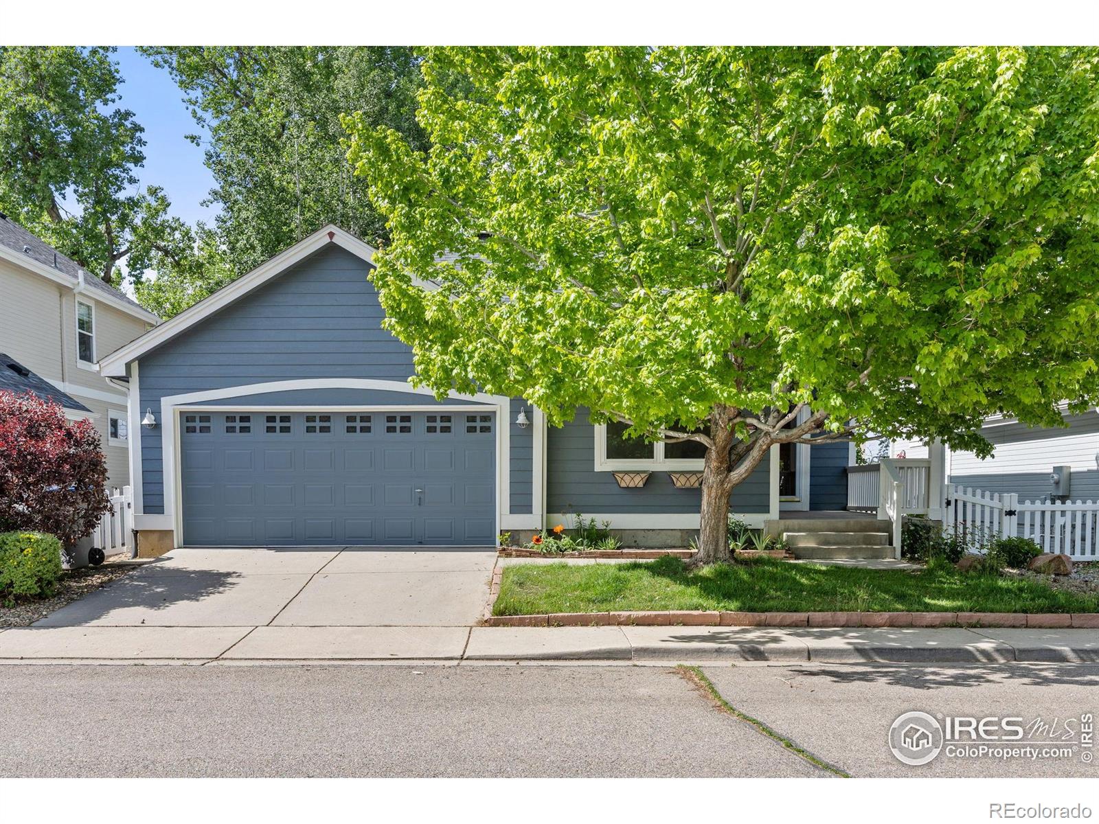 longmont  House Search Picture