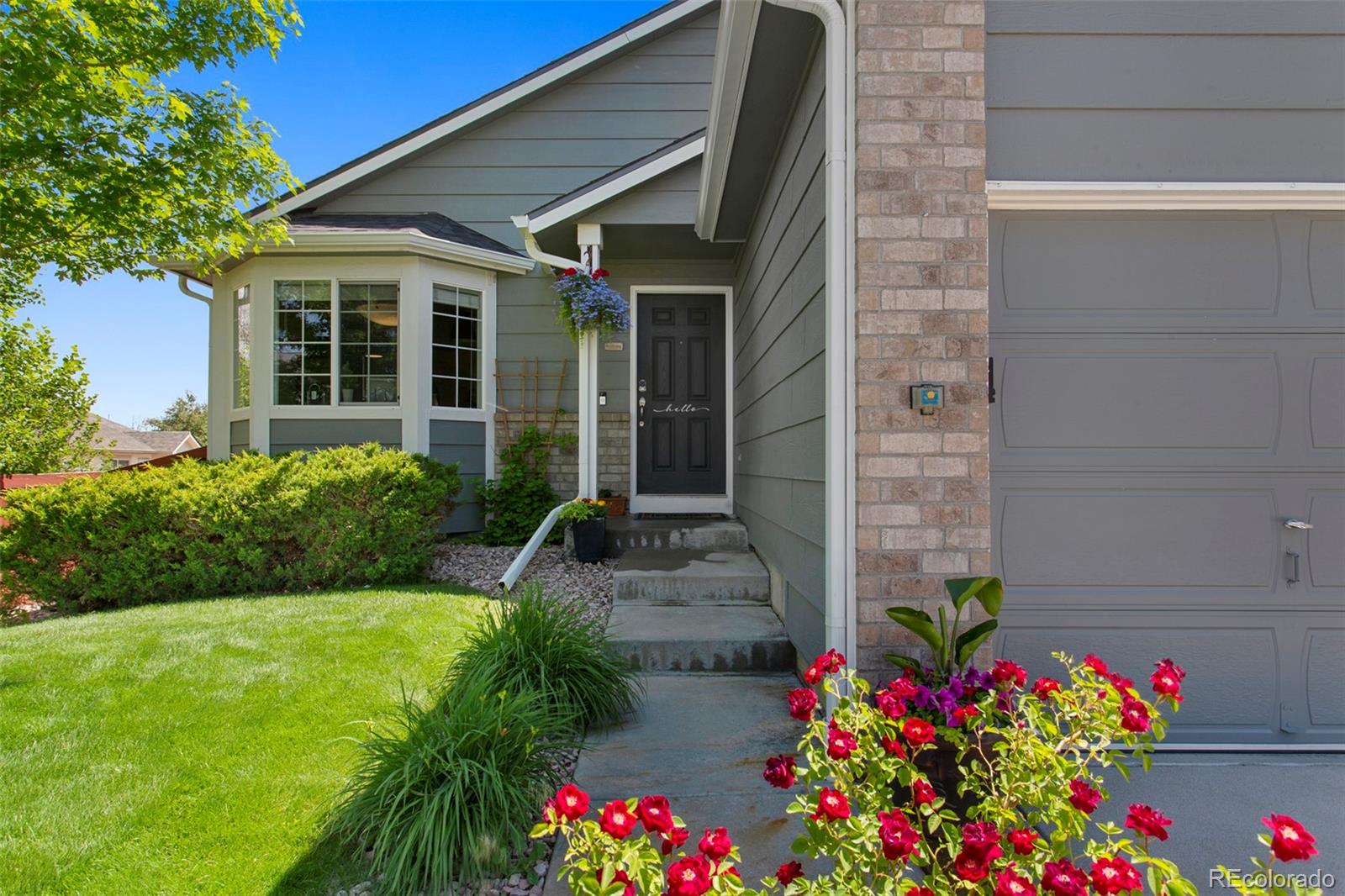 18496  Keyser Creek Avenue, parker  House Search MLS Picture