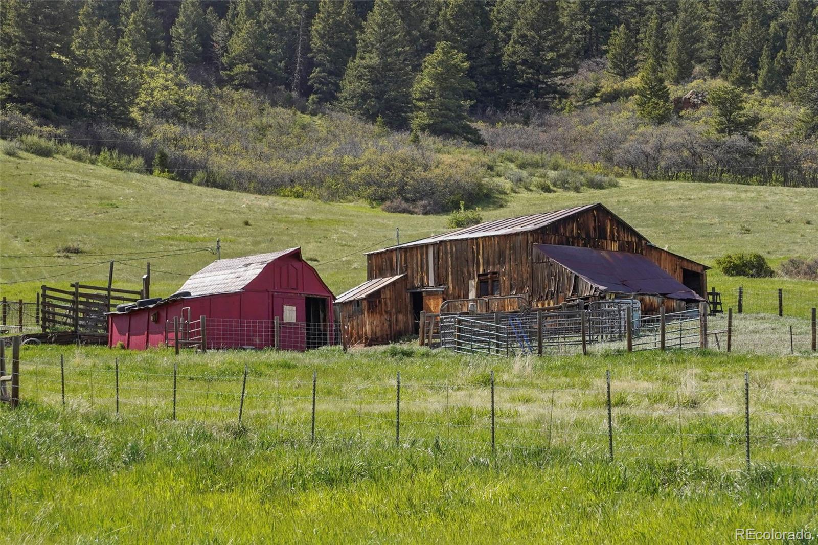 palmer lake  Horse Properties Search Picture