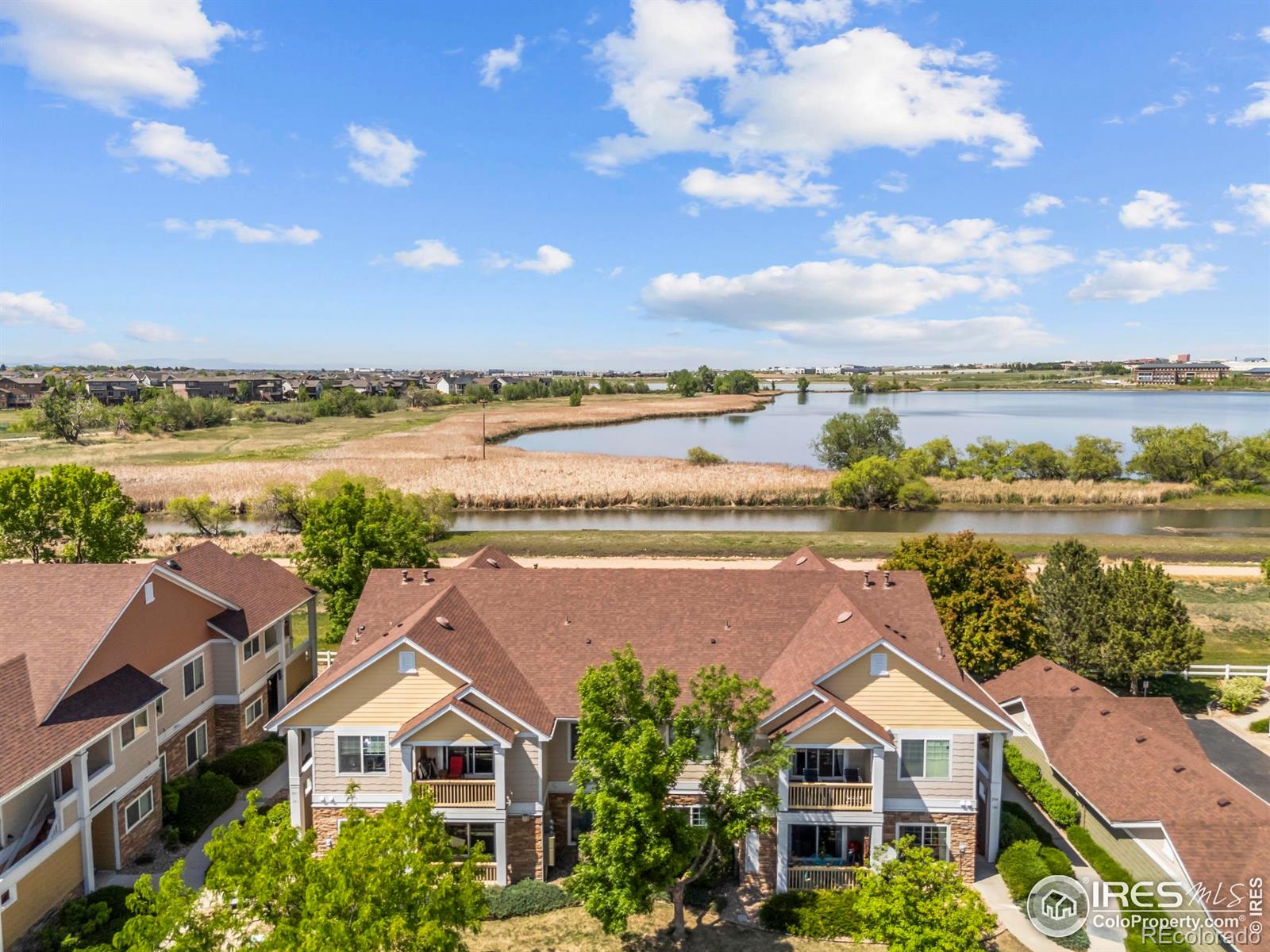 loveland  House Search Picture