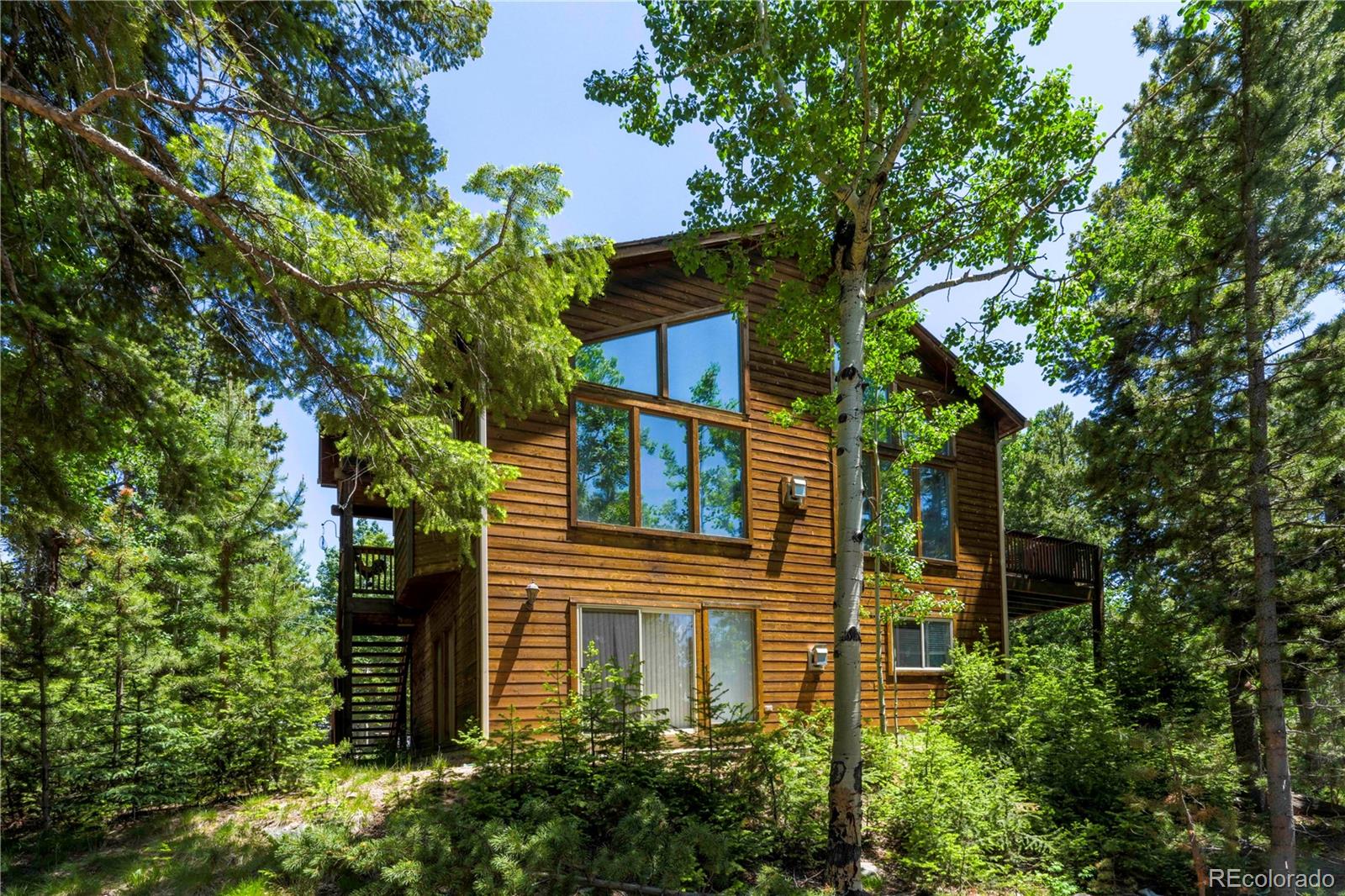 conifer  House Search Picture