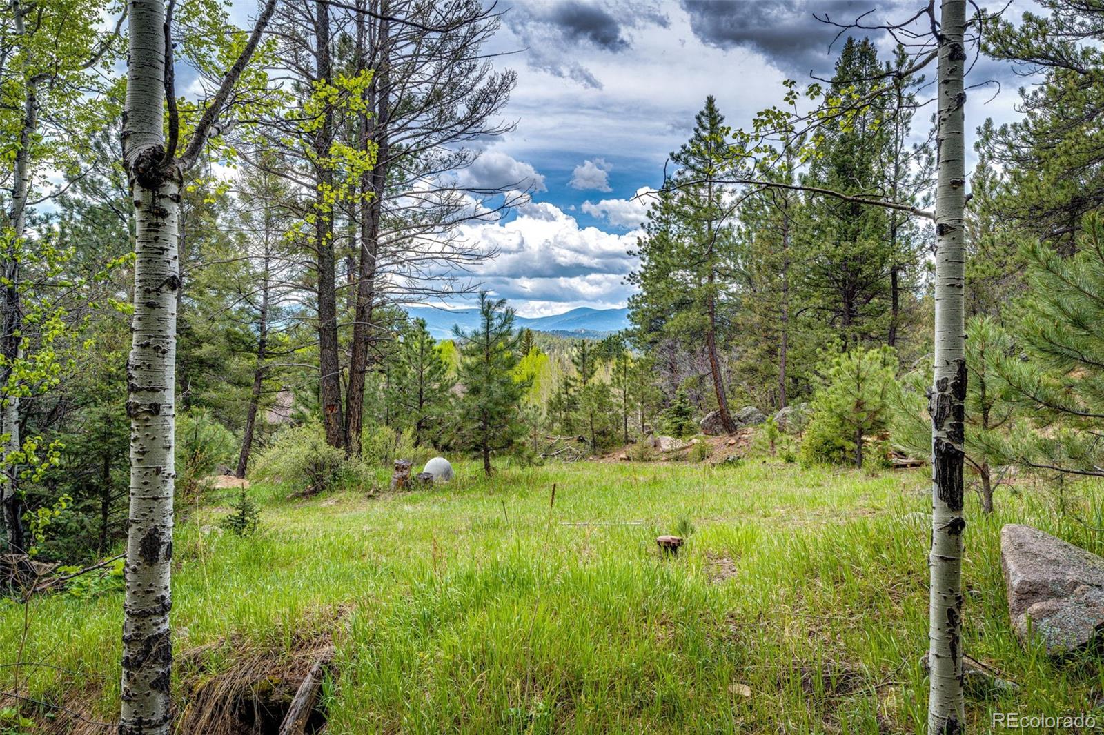 12346  Bear Haven Road, conifer  House Search MLS Picture