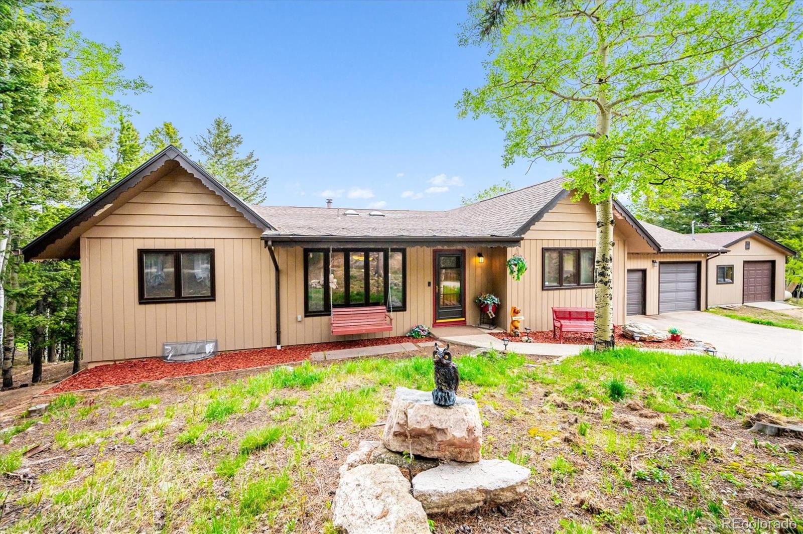 conifer  House Search Picture
