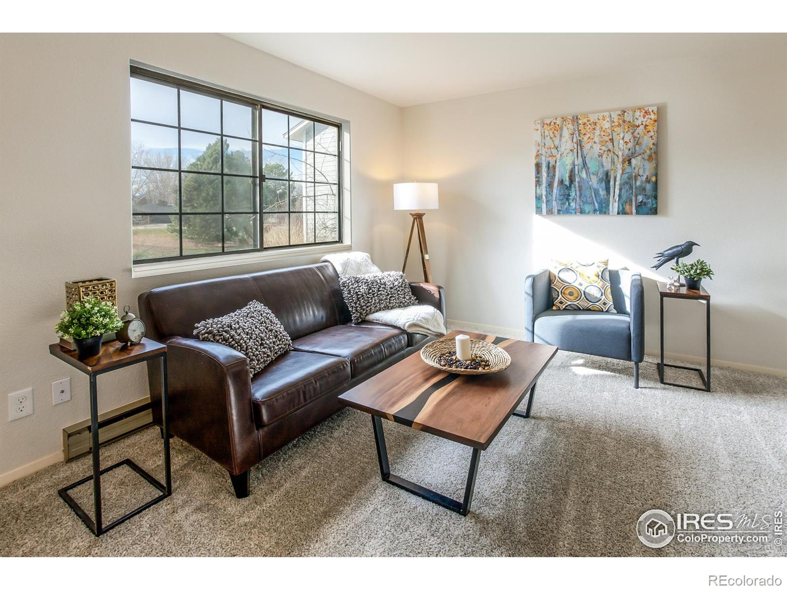 fort collins  House Search Picture