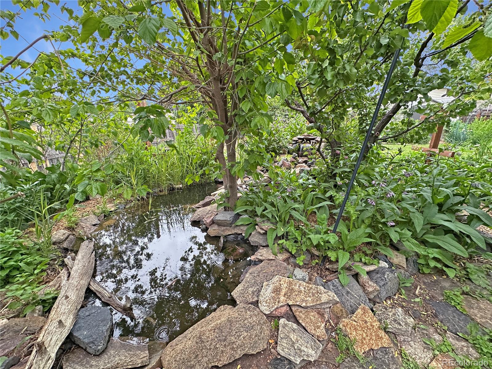 9236 W Euclid Avenue, littleton  House Search MLS Picture