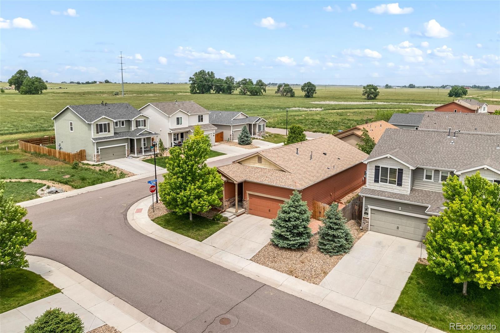 brighton  House Search Picture