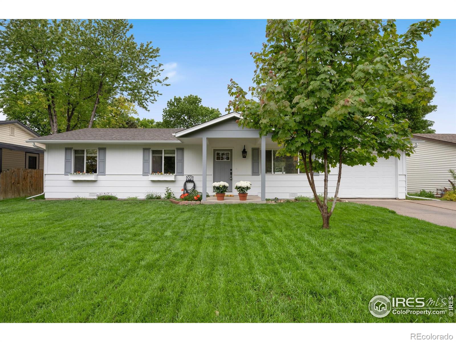 fort collins  House Search Picture