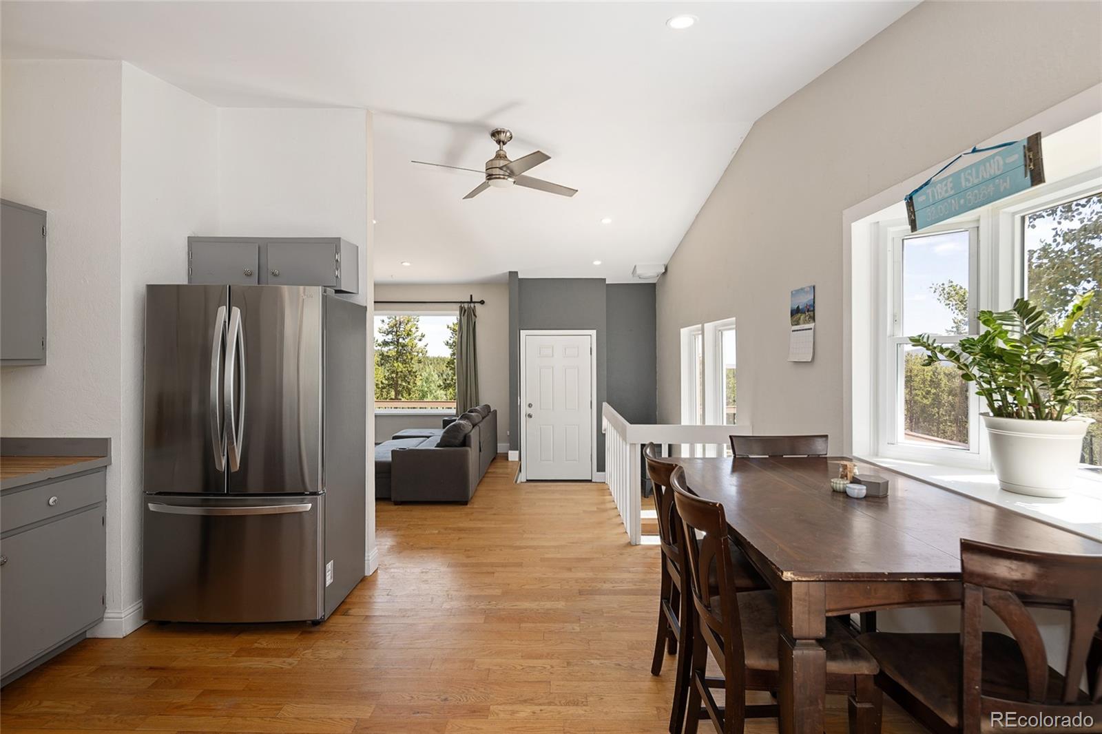 conifer  House Search Picture