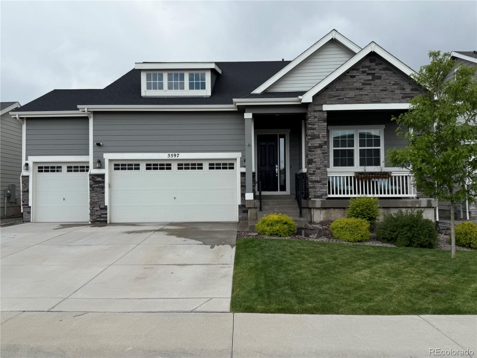 5597  Pinto Valley Street, parker  House Search MLS Picture