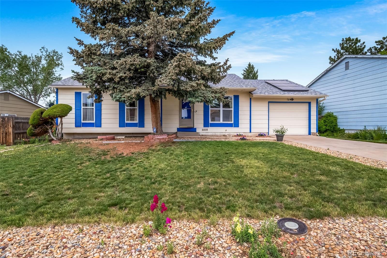 denver  House Search Picture