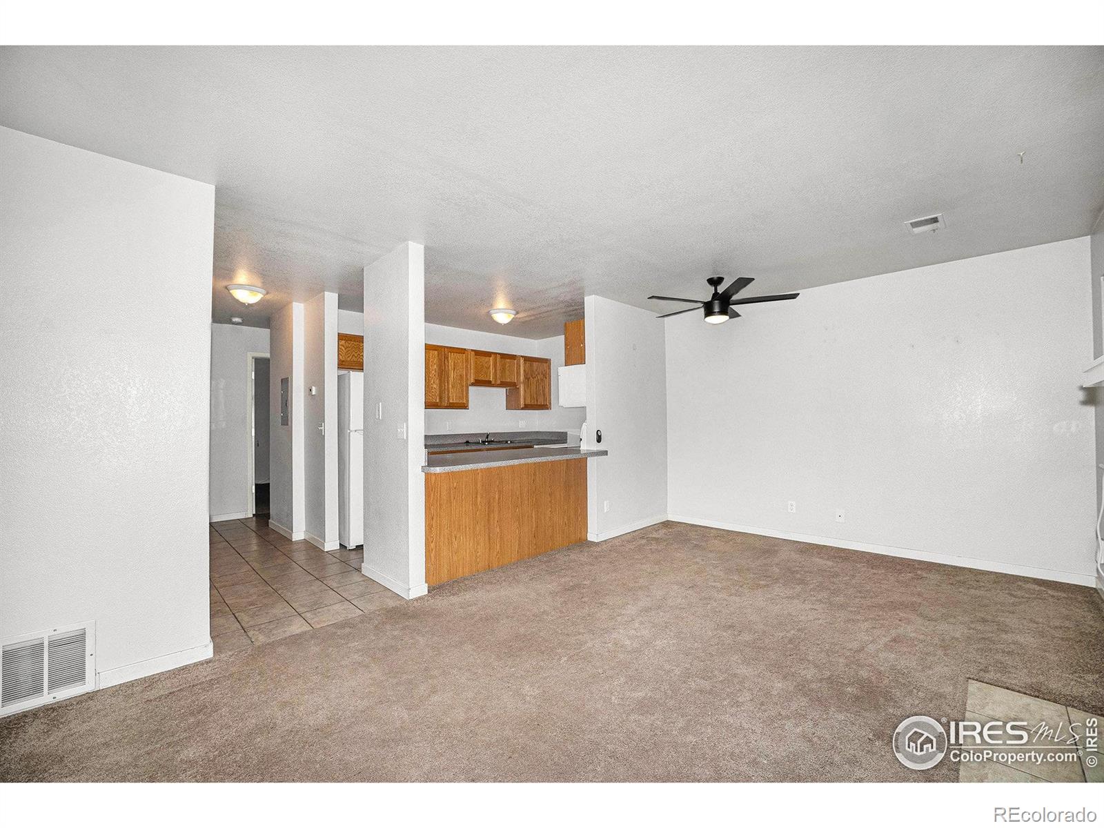 225 E 8th Avenue, longmont  House Search MLS Picture