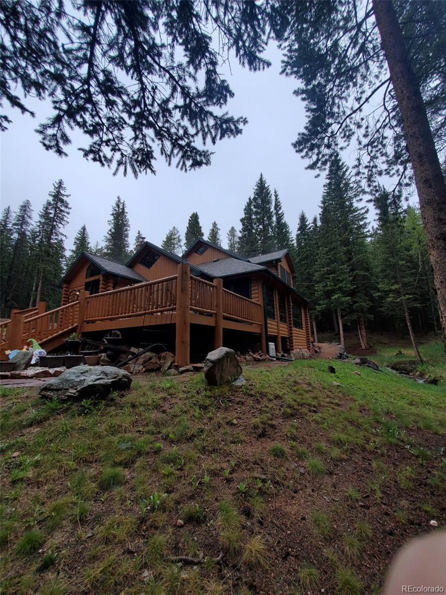 conifer  House Search Picture