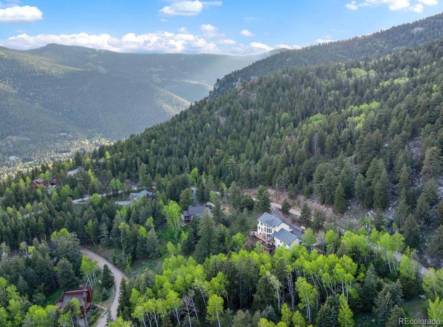 1194  Snyder Mountain Road, evergreen  House Search MLS Picture