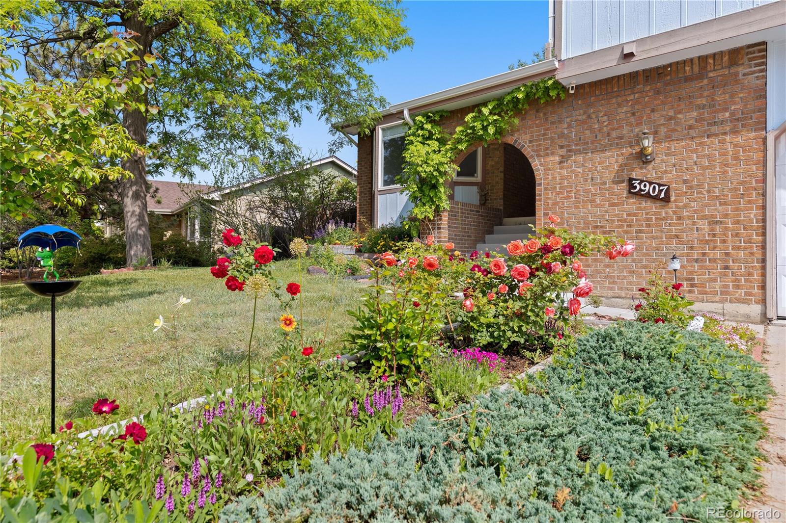 3907 E 133rd Court, thornton  House Search MLS Picture
