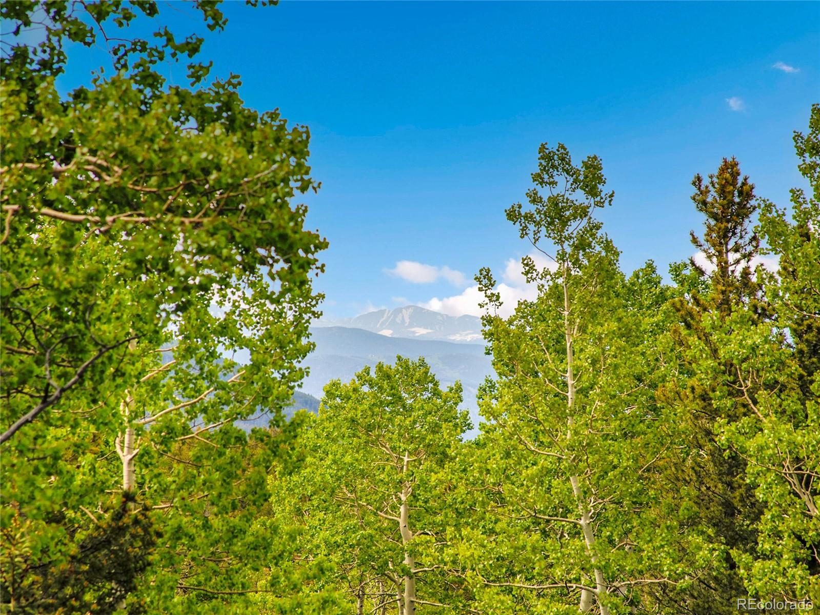 2654  Sinton Road, evergreen  House Search MLS Picture