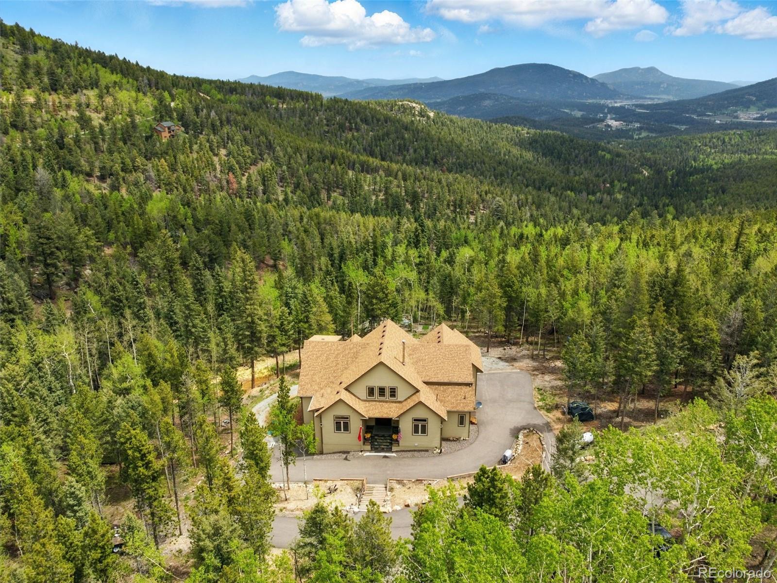 conifer  House Search Picture
