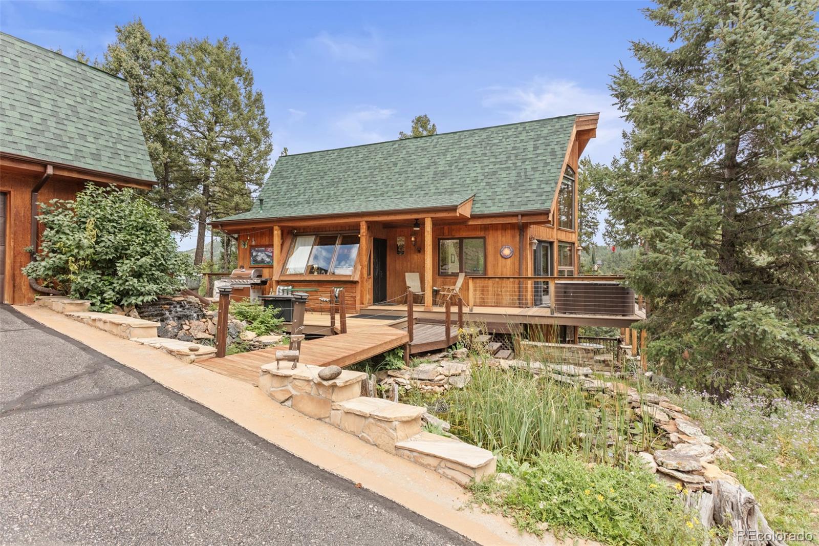 conifer  House Search Picture