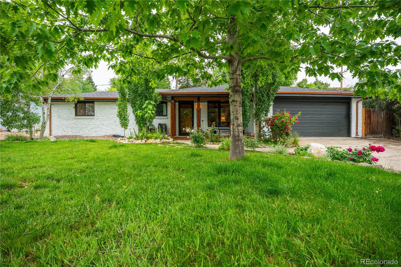 wheat ridge  House Search Picture