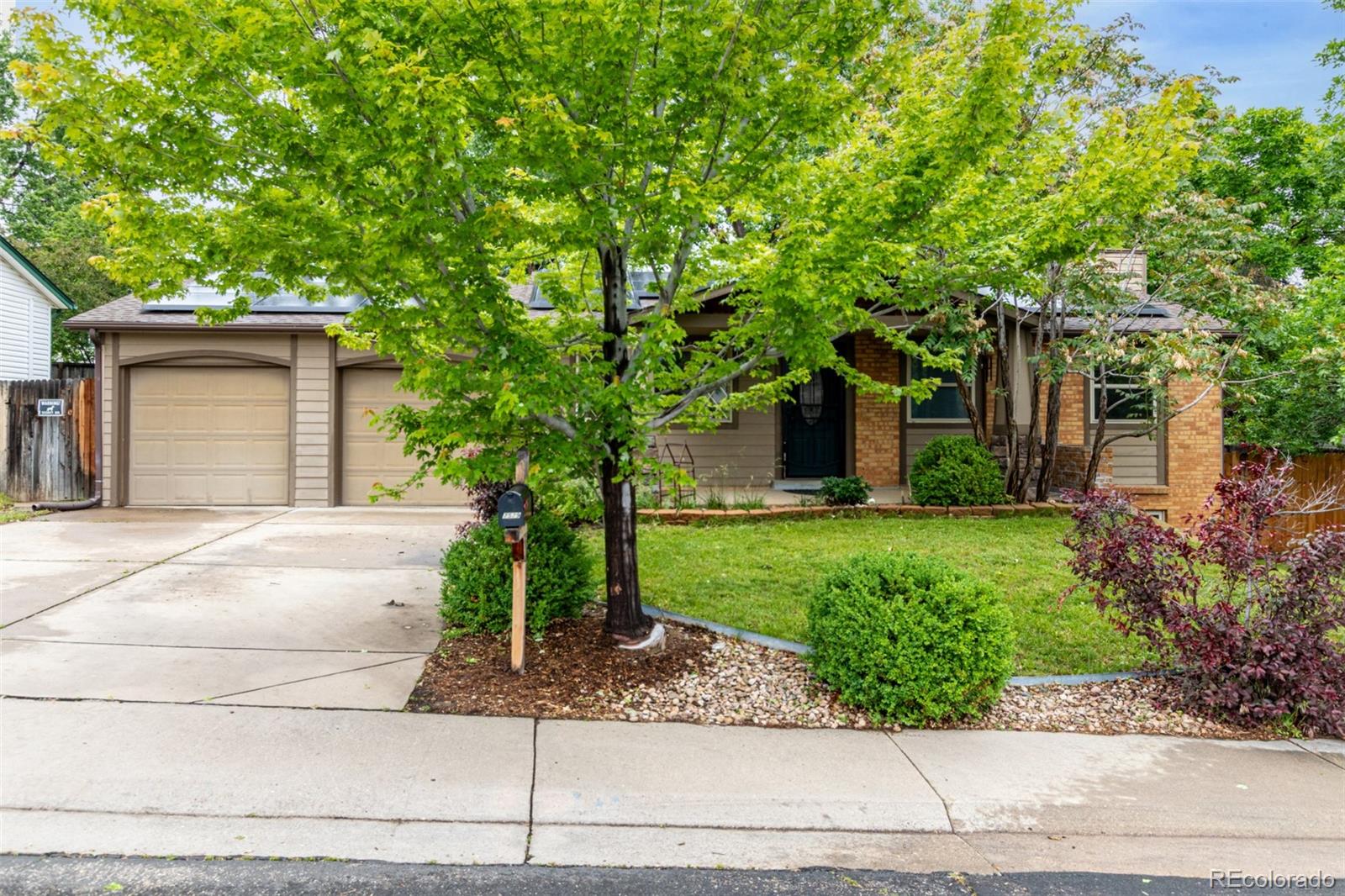arvada  House Search Picture