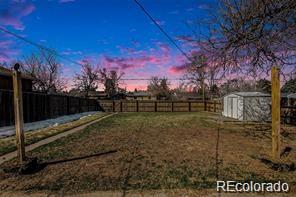 denver  Coming Soon Search Picture