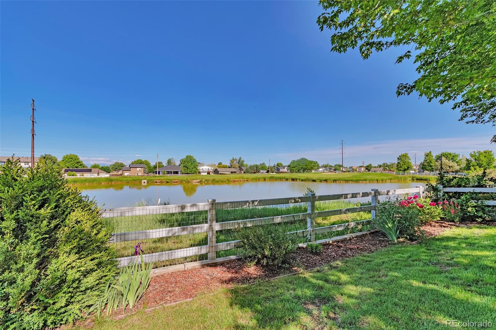 293  Wagonwheel Drive, fort lupton  House Search MLS Picture