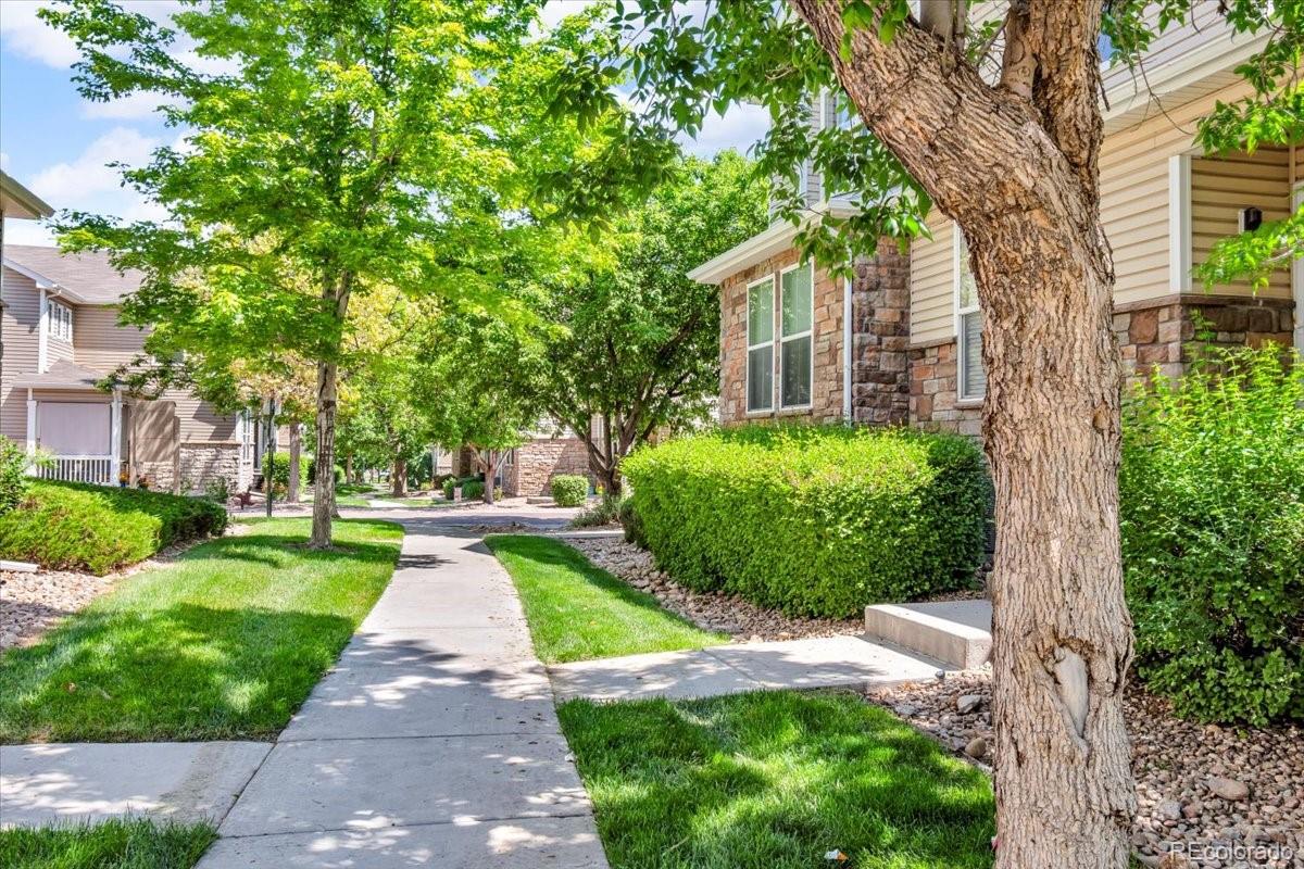 commerce city  House Search Picture