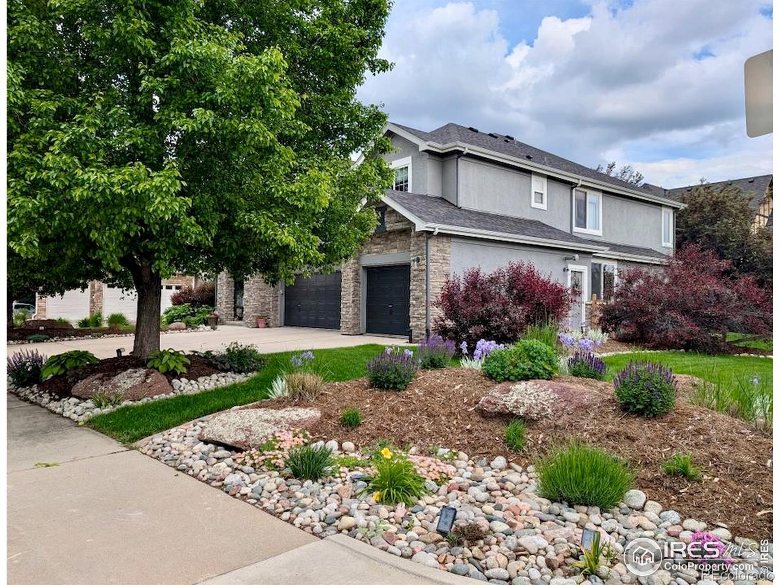 longmont  House Search Picture