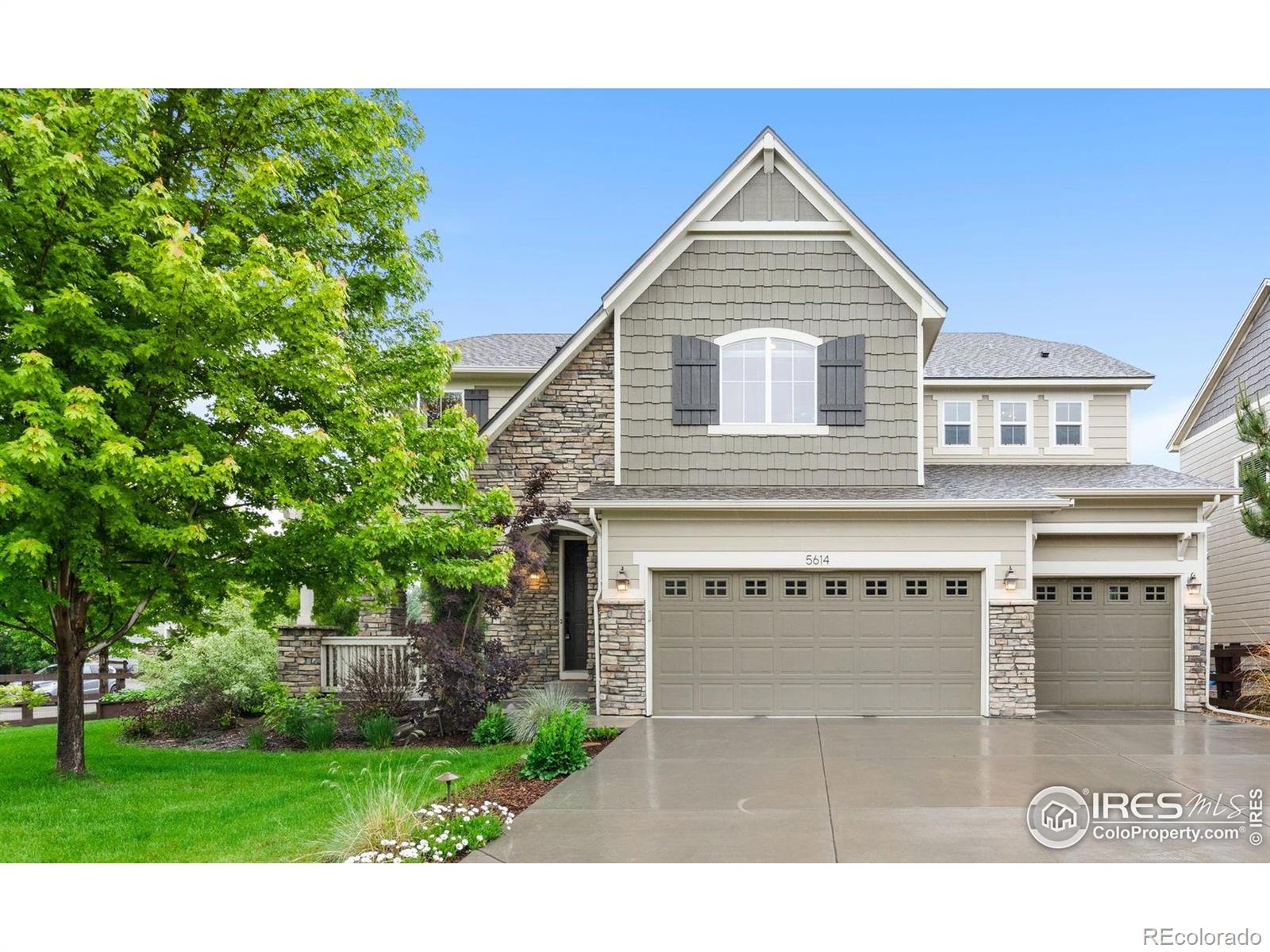 fort collins  House Search Picture