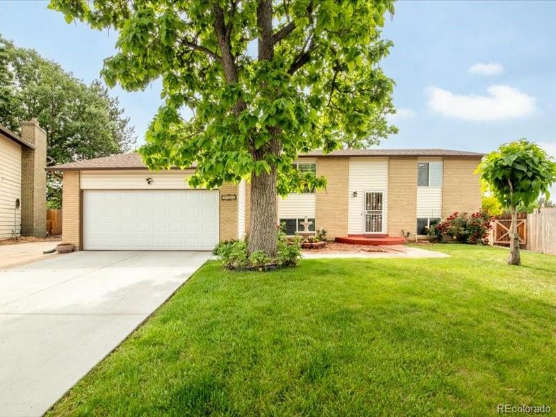 thornton  House Search Picture