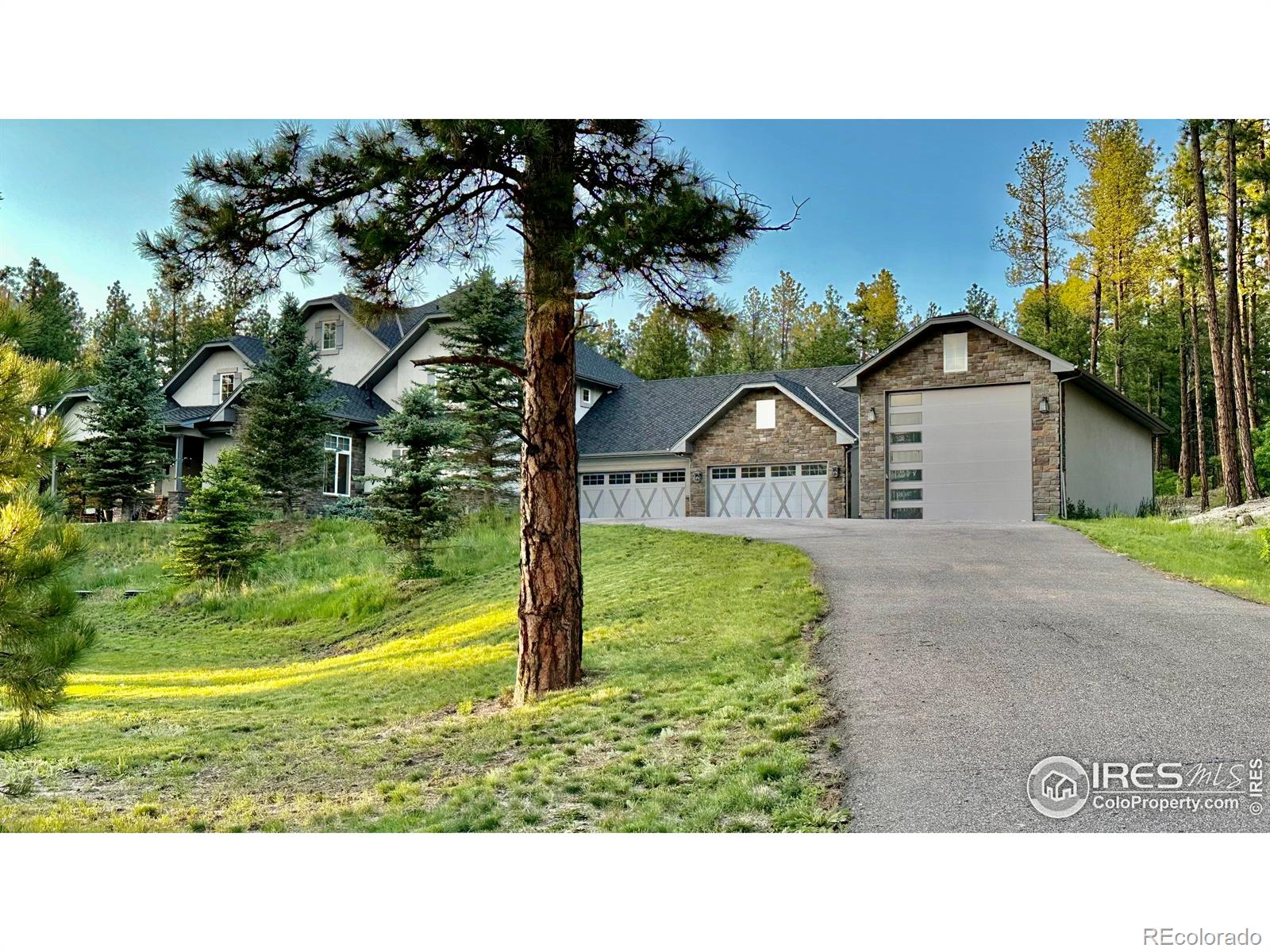 10525  Wild Fox Place, franktown  House Search MLS Picture