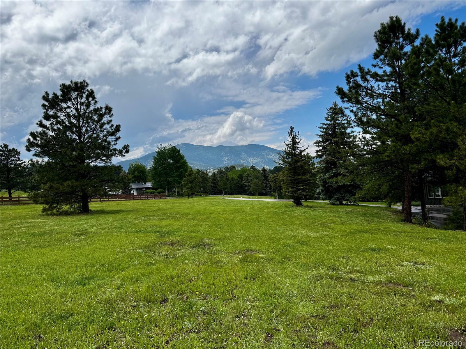 evergreen  House Search Picture