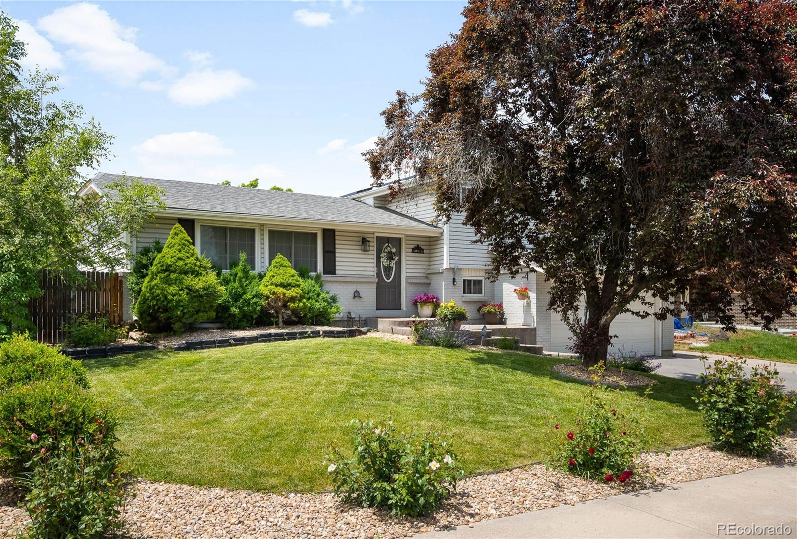 arvada  Coming Soon Search Picture
