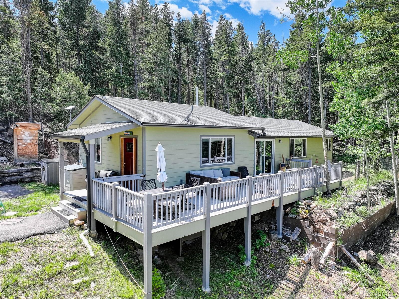conifer  House Search Picture