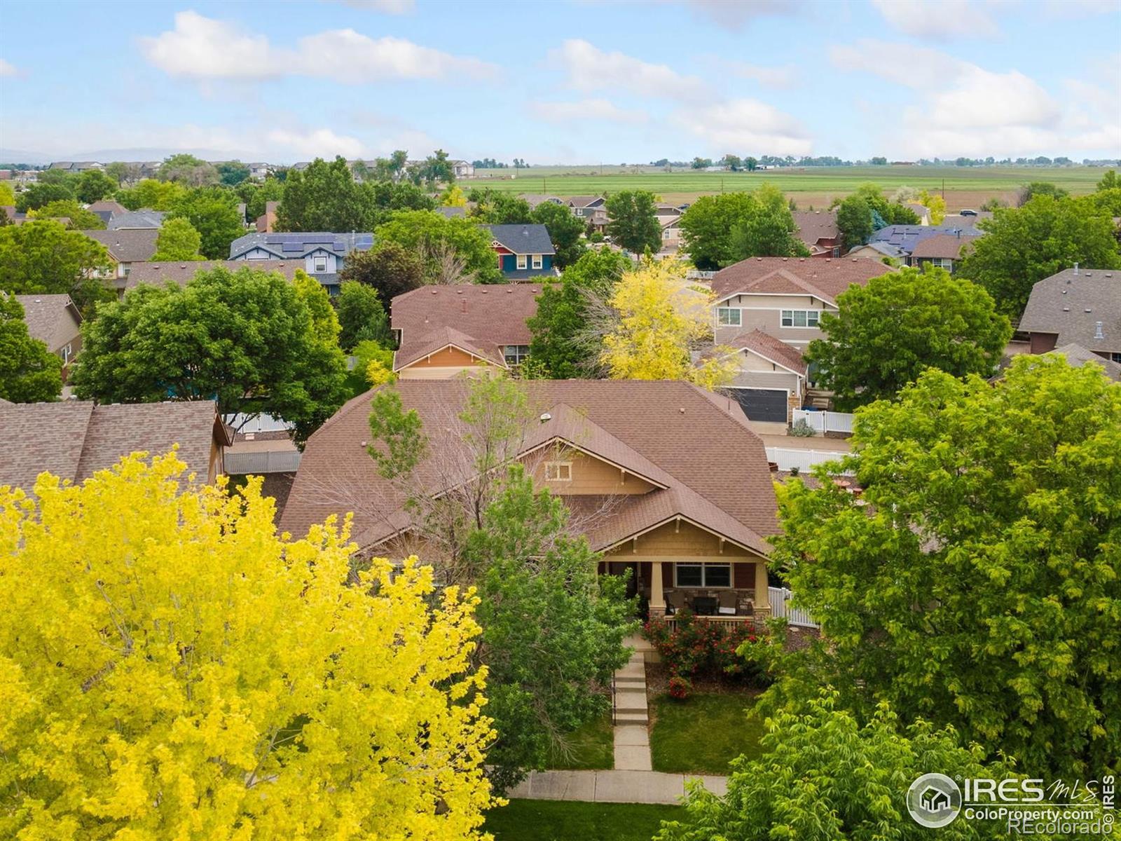 336  Olympia Avenue, longmont  House Search MLS Picture