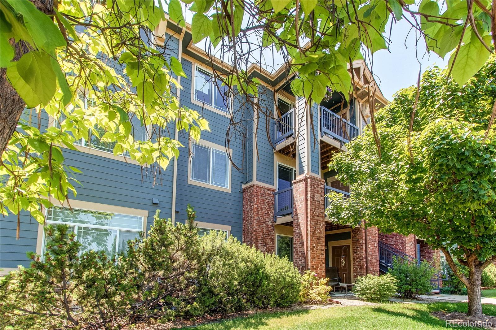 804  Summer Hawk Drive, longmont  House Search MLS Picture