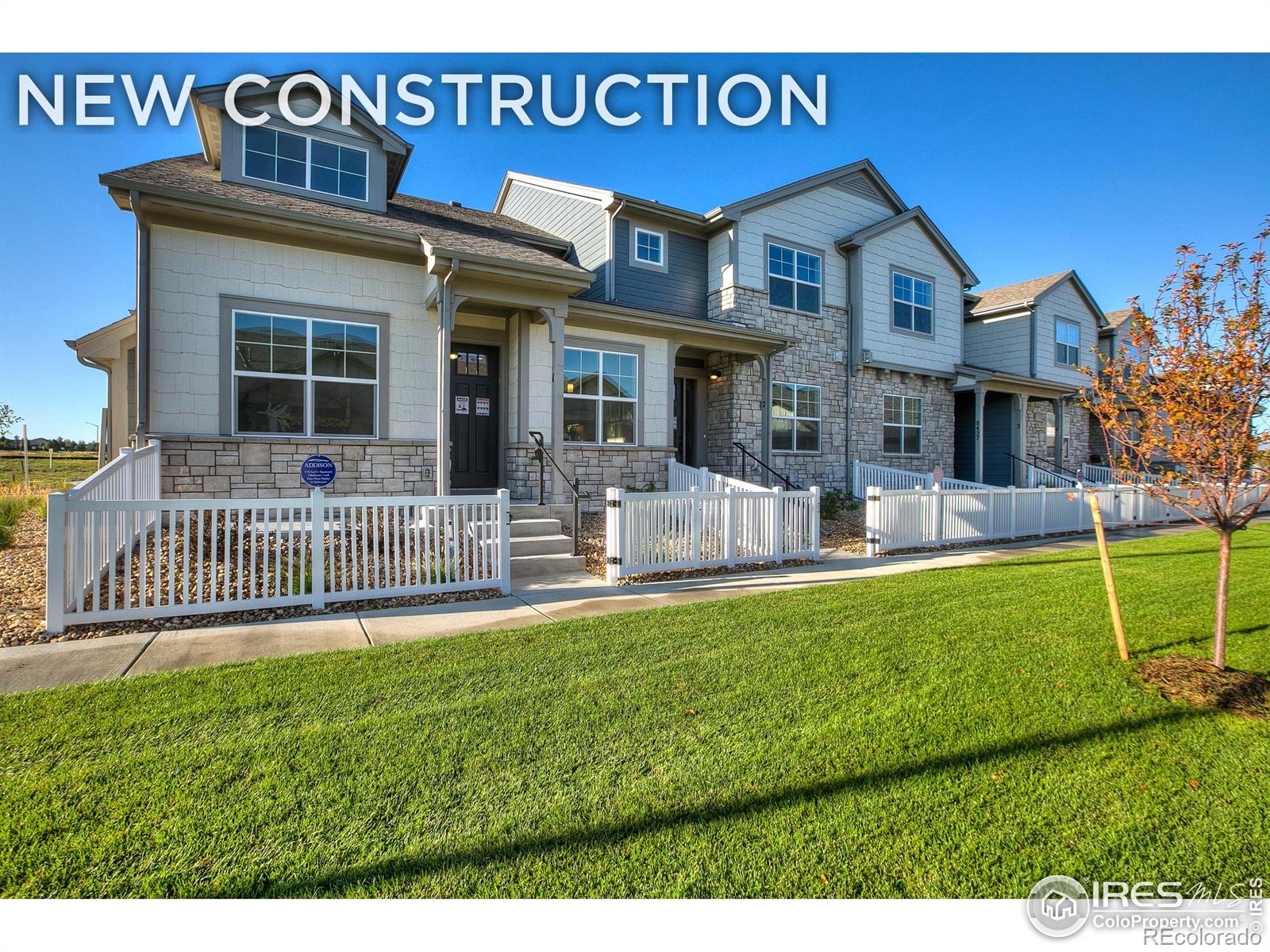 longmont  House Search Picture
