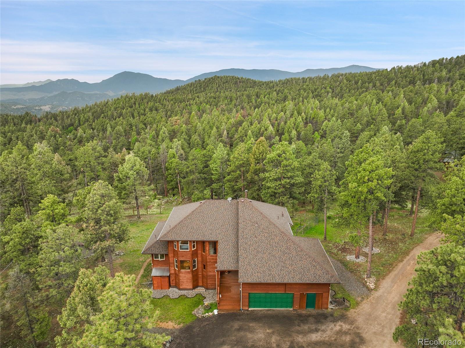 conifer  House Search Picture