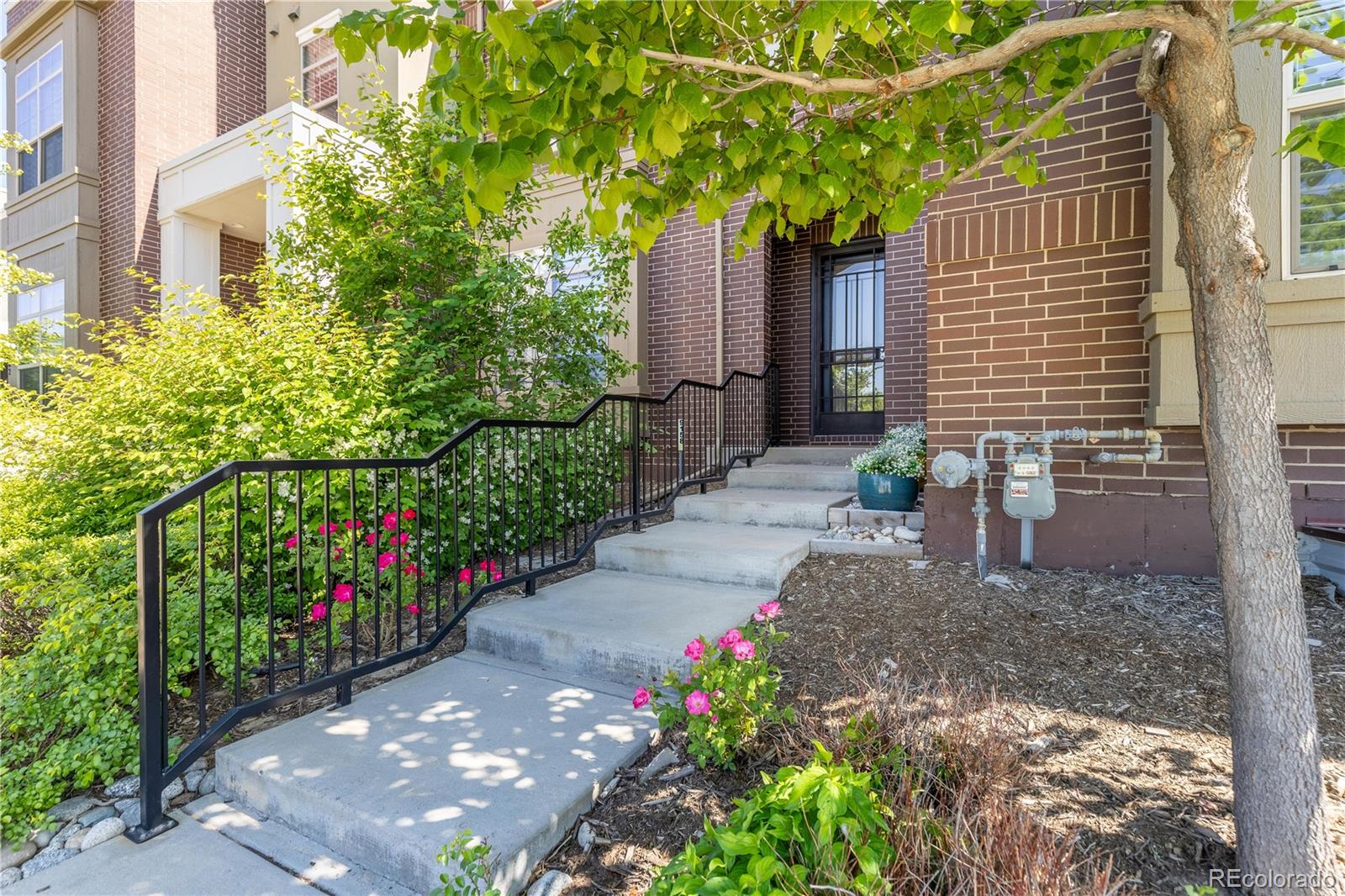 9158  Martin Luther King Boulevard, denver  House Search MLS Picture