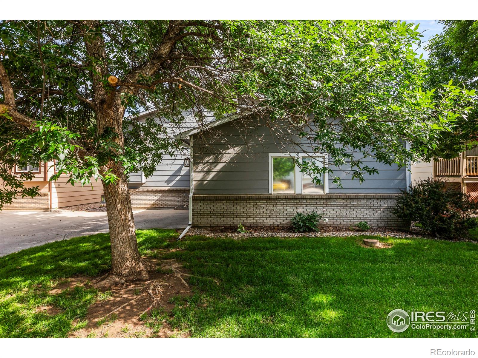 972  Winona Circle, loveland  House Search MLS Picture