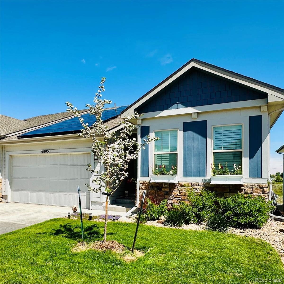 6805  Zebra Grass Lane, parker MLS: 1641537 Beds: 3 Baths: 3 Price: $699,900