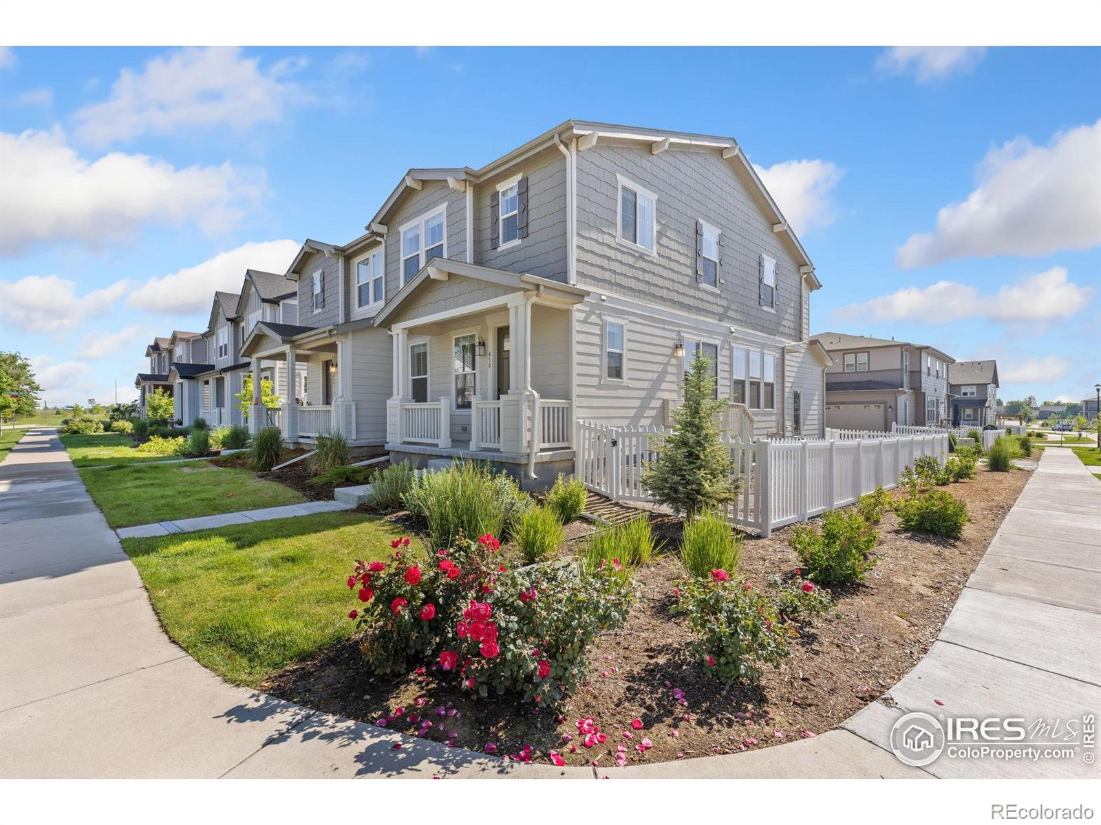 450  Canadian Crossing Drive, longmont  House Search MLS Picture