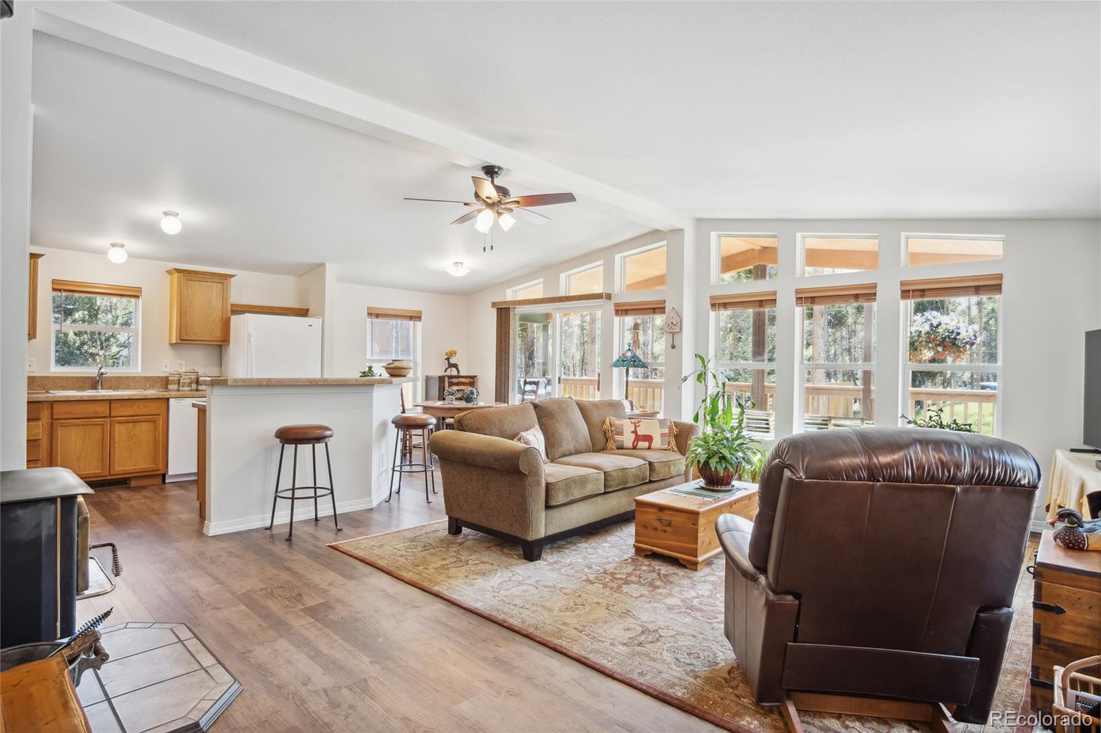 249  Tabor Drive, leadville  House Search MLS Picture